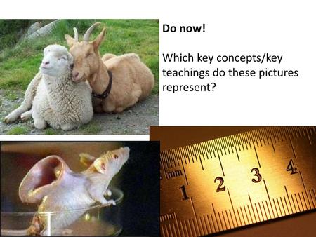 Do now! Which key concepts/key teachings do these pictures represent?