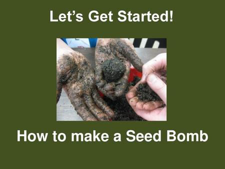 Let’s Get Started! How to make a Seed Bomb.