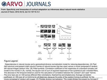 Journal of Vision. 2016;16(13). doi: / Figure Legend: