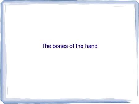 The bones of the hand.