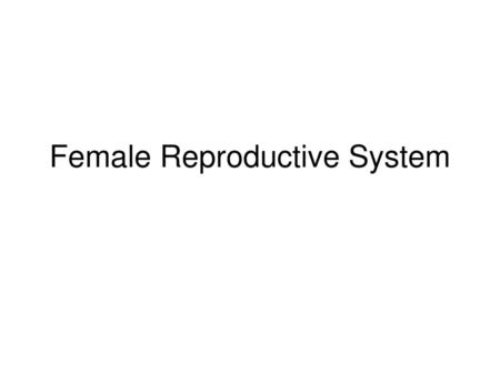 Female Reproductive System