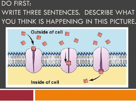 Do first: Write three sentences