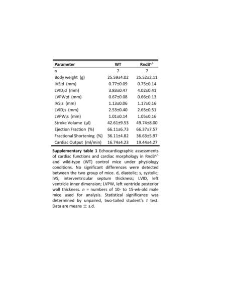 Parameter WT Rnd3+/- n 7 Body weight  (g) 25.59±4.02 25.52±2.11