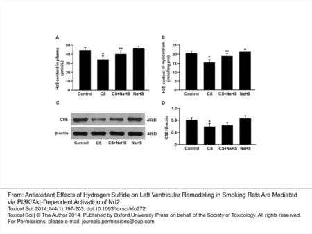 FIG. 1. H2S contents in plasma and myocardial tissue were measured by the Methylene Blue method (A, B). Representative immunoblots and densitometric.