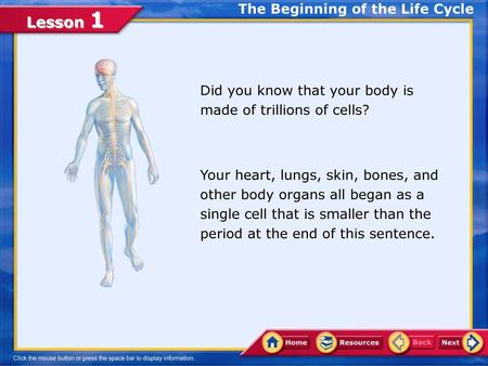 The Beginning of the Life Cycle