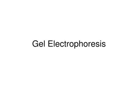 Gel Electrophoresis.