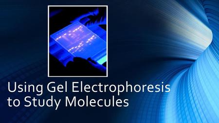 Using Gel Electrophoresis to Study Molecules