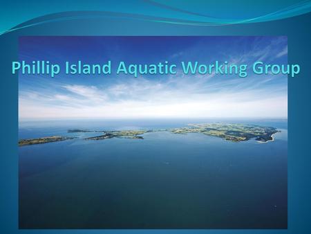 Phillip Island Aquatic Working Group