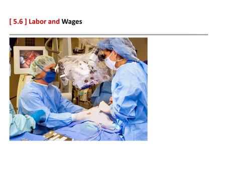 [ 5.6 ] Labor and Wages.