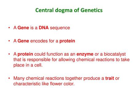 Central dogma of Genetics