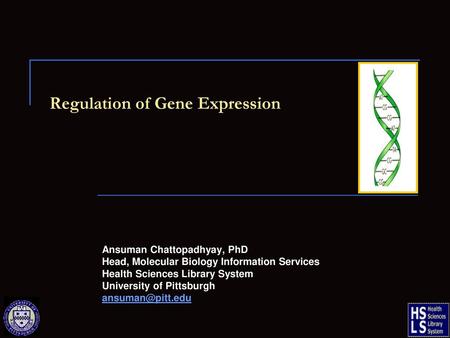 Regulation of Gene Expression