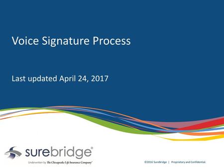 Voice Signature Process