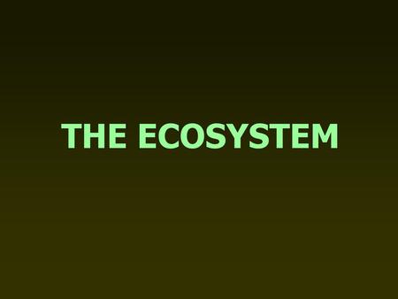 THE ECOSYSTEM.