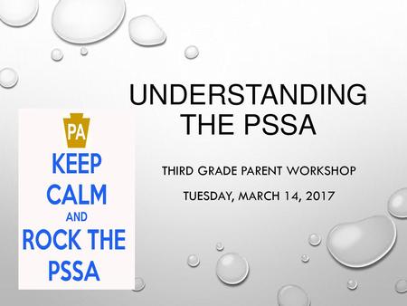 Understanding the PSSA