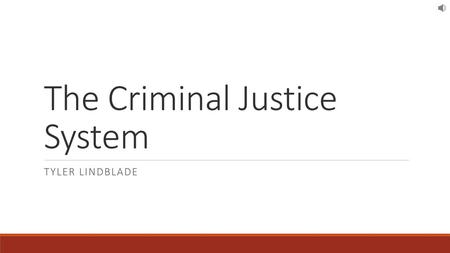 The Criminal Justice System