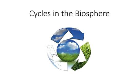 Cycles in the Biosphere