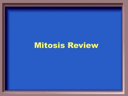 Mitosis Review.