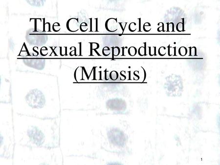 The Cell Cycle and Asexual Reproduction (Mitosis) 1.