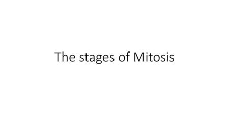 The stages of Mitosis.