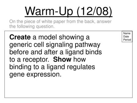 Warm-Up (12/08) On the piece of white paper from the back, answer the following question. Name Date Period Create a model showing a generic cell signaling.