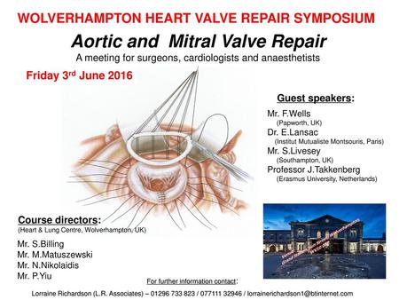 Aortic and Mitral Valve Repair