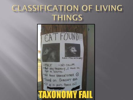 Classification of Living Things