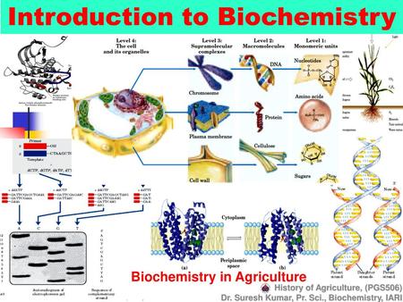 Introduction to Biochemistry