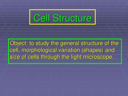 Cell Structure Object: to study the general structure of the cell, morphological variation (shapes) and size of cells through the light microscope.