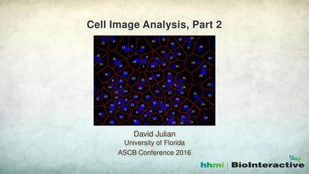 Cell Image Analysis, Part 2