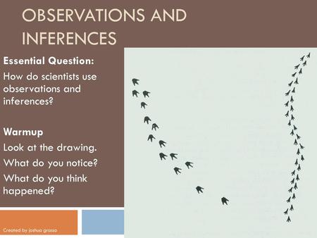 Observations and Inferences