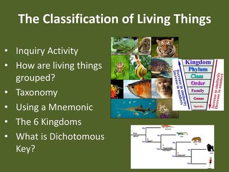 The Classification of Living Things