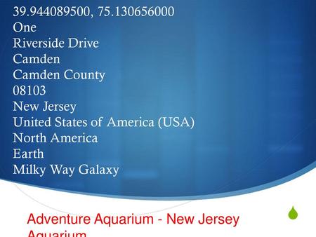 Adventure Aquarium - New Jersey Aquarium