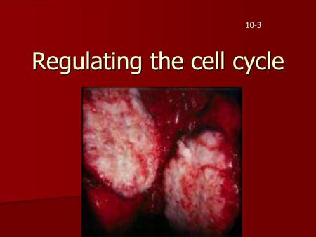 Regulating the cell cycle