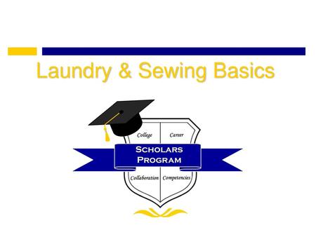 Laundry & Sewing Basics