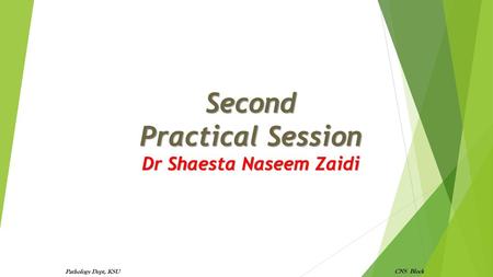 Second Practical Session Dr Shaesta Naseem Zaidi