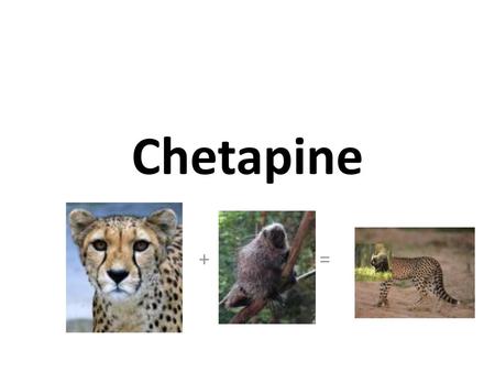 Chetapine + =.