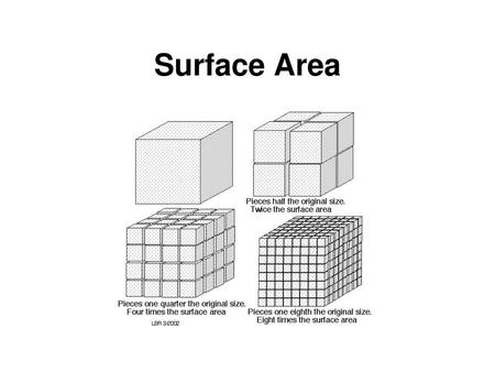 Surface Area.