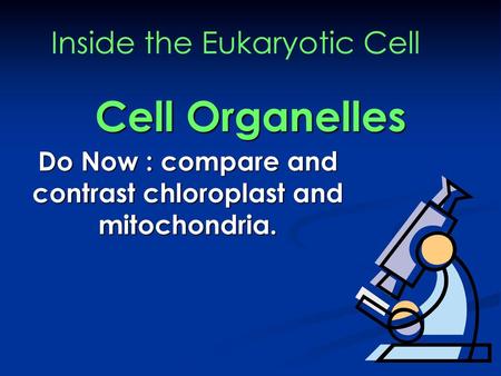 Do Now : compare and contrast chloroplast and mitochondria.