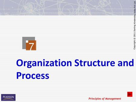 Organization Structure and Process