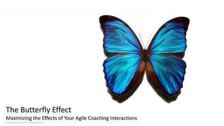 The Butterfly Effect Maximizing the Effects of Your Agile Coaching Interactions.