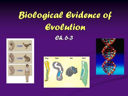 Biological Evidence of Evolution