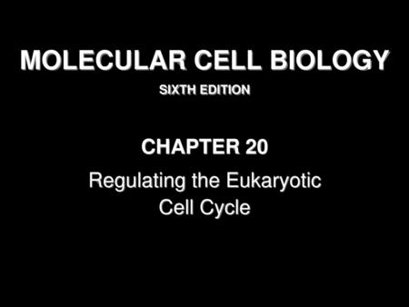 MOLECULAR CELL BIOLOGY