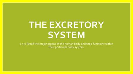 The excretory System 7-3.2 Recall the major organs of the human body and their functions within their particular body system.