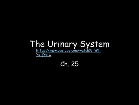 The Urinary System https://www.youtube.com/watch?v=WtrYotjYvtU Ch. 25.