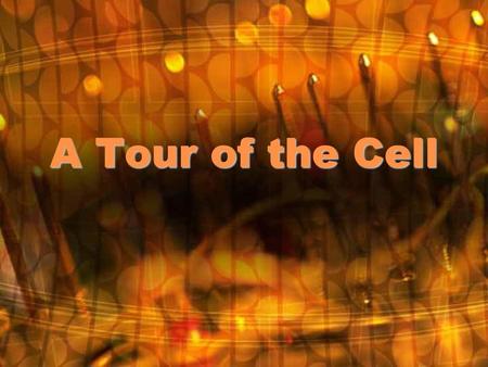 A Tour of the Cell.