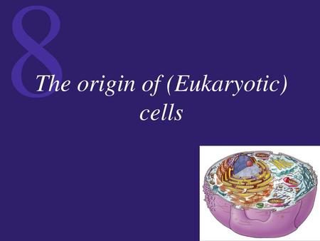 The origin of (Eukaryotic) cells