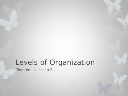 Levels of Organization