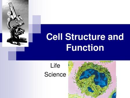 Cell Structure and Function