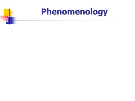 Phenomenology.