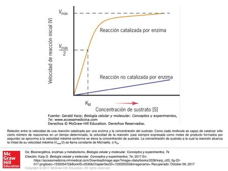 Relación entre la velocidad de una reacción catalizada por una enzima y la concentración del sustrato. Como cada molécula es capaz de catalizar sólo cierto.